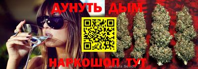 Альфа ПВП Будённовск