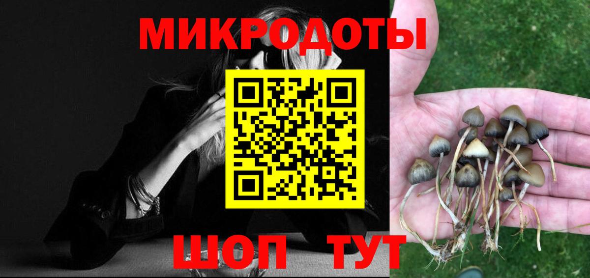 Псилоцибиновые грибы прущие грибы Валуйки