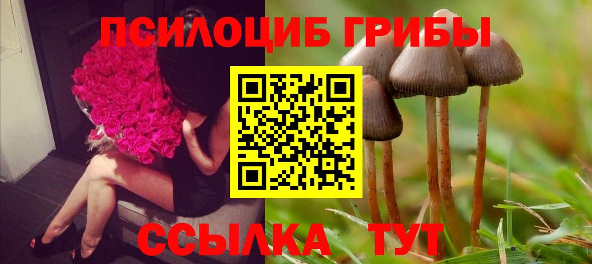 Валуйки  Псилоцибиновые грибы Psilocybine cubensis  Галлюциногенные грибы Cubensis  цены   Вход с VPN 